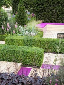 sculpted hedges